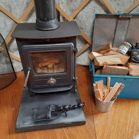 Ceridwen Glamping, Double Decker Bus And Yurts Hotel Llandysul ภายนอก รูปภาพ